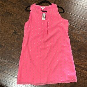 Beautiful Crown and Ivy Shift dress BNWT